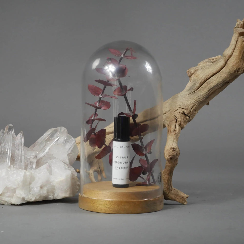 ENVIRONMENT Vegan and cruelty-free fragrance aligns with conscious beauty routines.