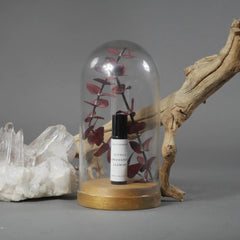 ENVIRONMENT Vegan and cruelty-free fragrance aligns with conscious beauty routines.