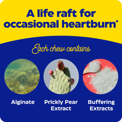 Flavor close-up of Enzymedica Heartburn Soothe orange vanilla chewables