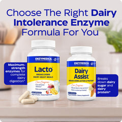Serving ideas with cheese and dessert pairings alongside Enzymedica Lacto.