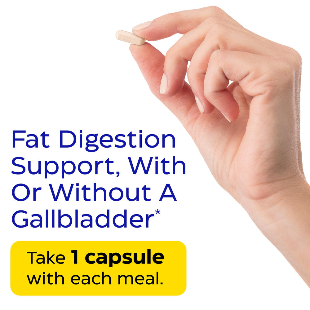Enzymedica Lypo Gold digestive-track diagram illustrating enzyme support for digestion