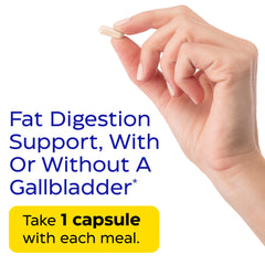 Enzymedica Lypo Gold digestive-track diagram illustrating enzyme support for digestion