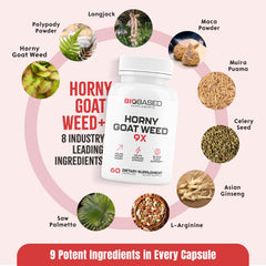 EPN Supplements Horny Goat Weed packaging display signals quality and testing