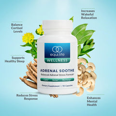 EquiLife L-Theanine capsules illustrating calm focus and relaxed evenings.