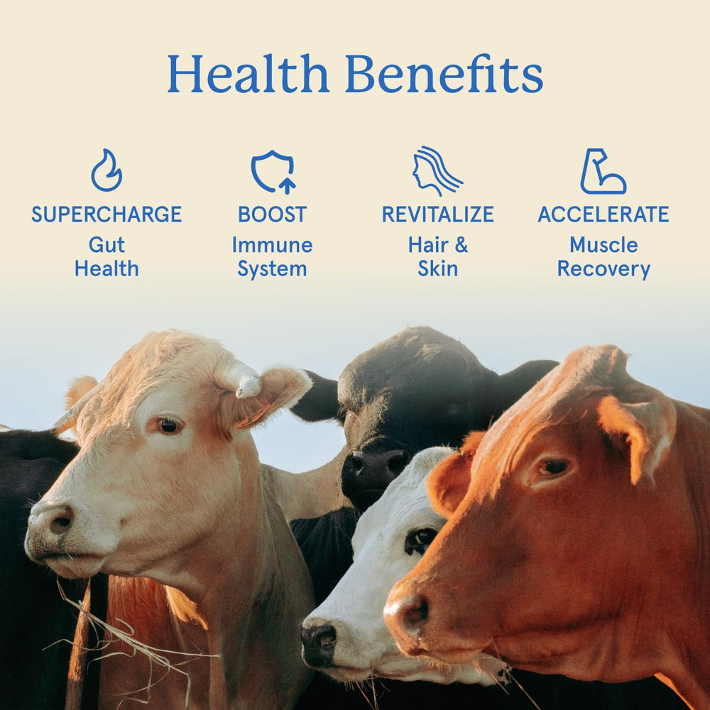 Equip Core Bovine Colostrum Gummies bottle label closeup with origin and nutrients