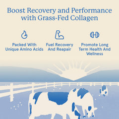 Equip Grass-Fed Collagen Powder unflavored tub blends seamlessly.