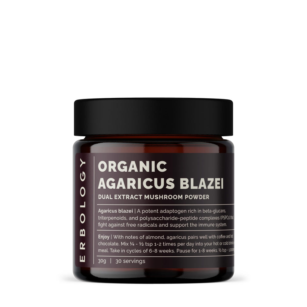 Erbology Agaricus blazei dual extract powder jar; supports immune balance and heart health.