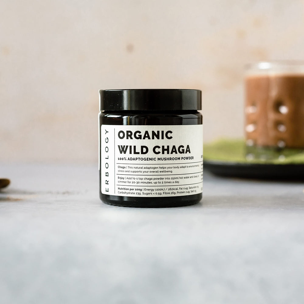 Erbology Chaga powder with spoon in jar for convenient daily use