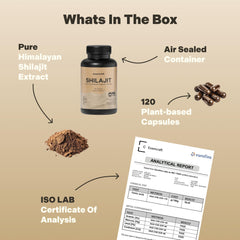 Essencraft Shilajit resin mineral-rich profile with 85+ trace minerals