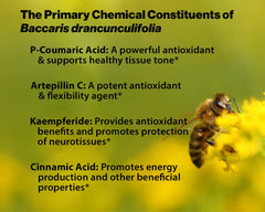 Close-up of astaxanthin and flax oil components in Essential Formulas Propolis Plus.