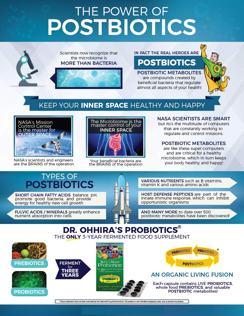 Digestive health graphic implies holistic wellness from Essential Formulas probiotic line.