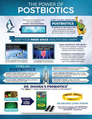 Digestive health graphic implies holistic wellness from Essential Formulas probiotic line.