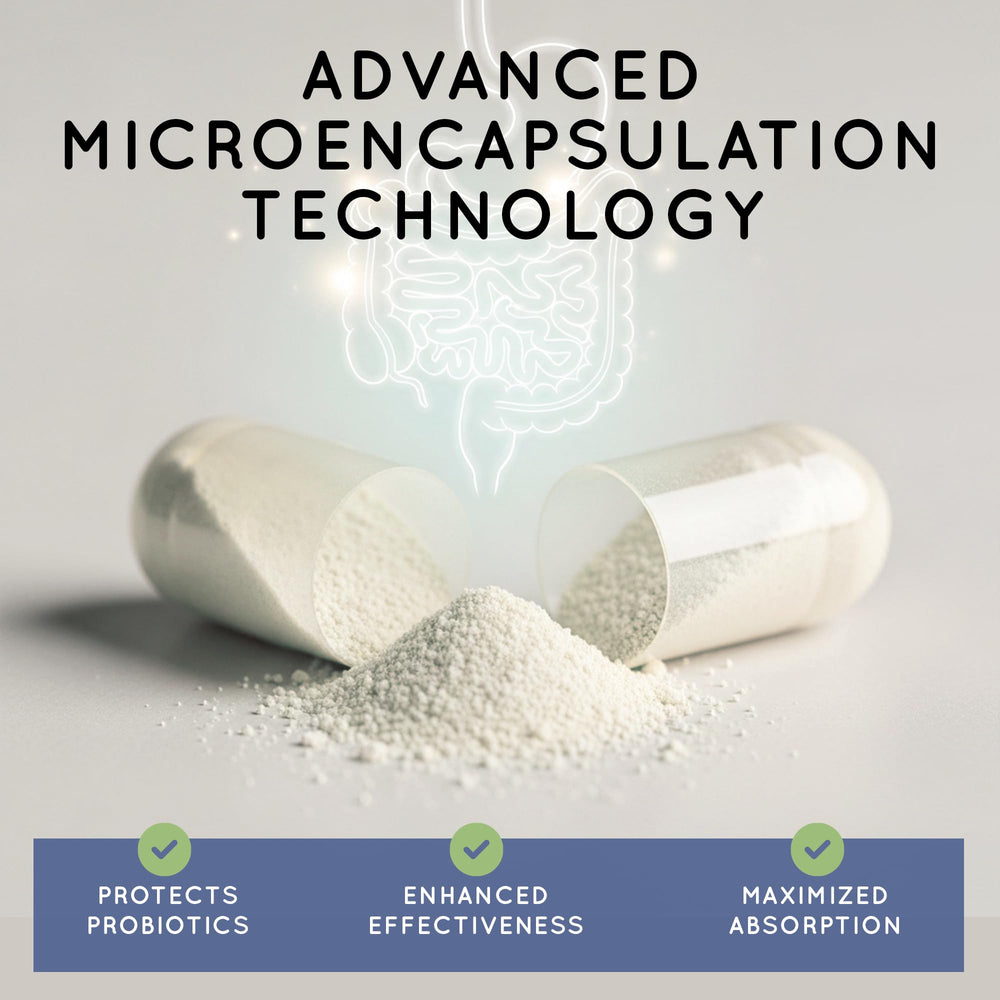 Digestive enzymes scene with TriActive Biotics supporting nutrient absorption.