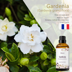 ESSLUX Gardenia essential oil in a diffuser-ready bottle for home fragrance.