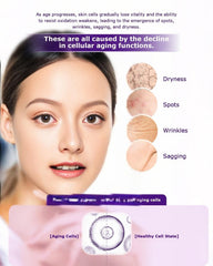 ESTHELIV Cellular Skin Recovery capsules displayed for easy daily use