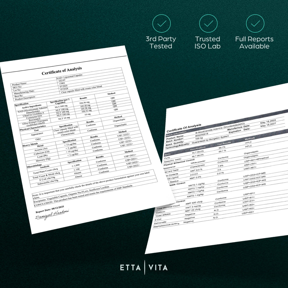 Etta Vita ingredients: CoQ10 and Resveratrol for cellular vitality.