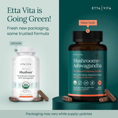 Etta Vita Ten-in-One mushroom power capsules for daily energy.
