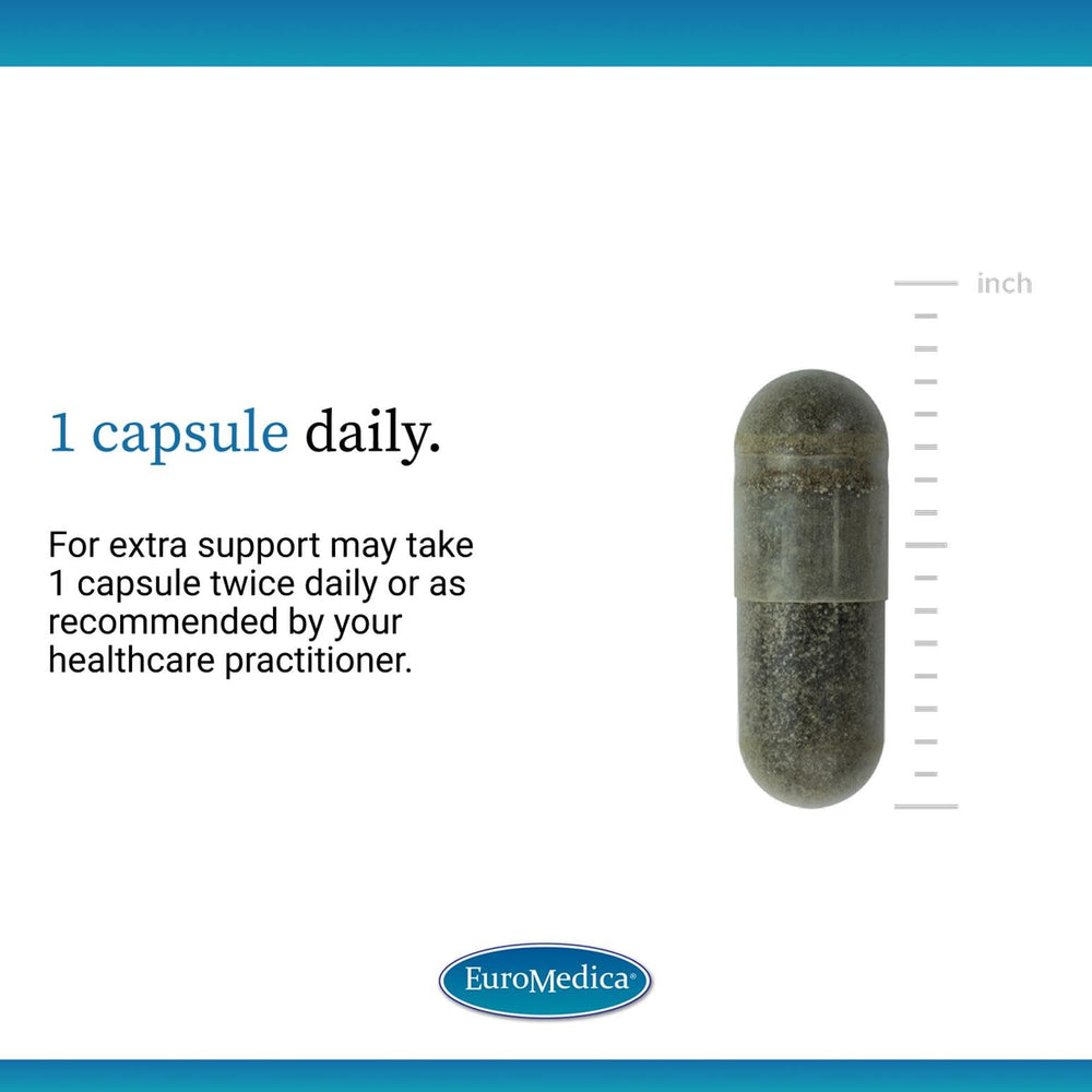 Ingredient graphic for EuroMedica Andrographis EP80 illustrating liver and immune benefits