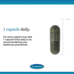 Ingredient graphic for EuroMedica Andrographis EP80 illustrating liver and immune benefits
