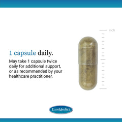 Bacopa monnieri imagery in EuroMedica Cognitive Health Plus for memory support.