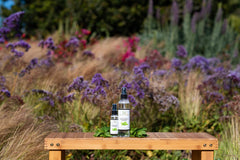 EuroSpa Aromatics home-spa setup shot invites tranquil rituals with eucalyptus scent.
