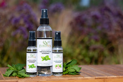 EuroSpa Aromatics no-additives GMO-free eucalyptus oil for clean aromatherapy.