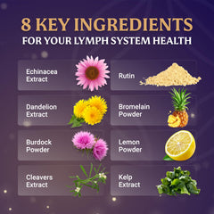 Bromelain powder close-up showcasing enzyme support in a vegetarian capsule