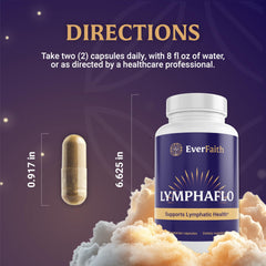 Dandelion root detail emphasizing traditional wellness roots and botanical synergy