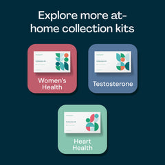 Everlywell Men's Health Test collection kit bag for organization.