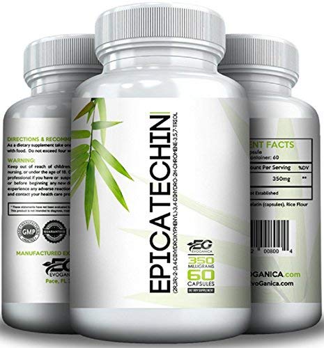 EVOGANICA Epicatechin capsules bottle displaying 350 mg per capsule.