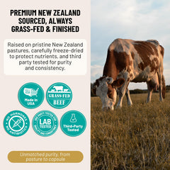 Freeze-dried desiccation preserves nutrients in Evolved Elements Beef Liver Gentle.