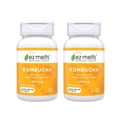 EZ Melts ginger-lemonade packaging highlighting a sugar-free 2-pack for on-the-go wellness