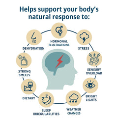 Family Tree Remedies Preventa scene suggesting calm during sensory moments.