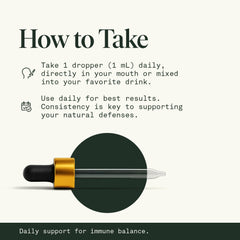 Fantastic Fungi Astragalus root highlight vitality-support herb.