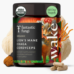 Fantastic Fungi bottle closeup with capsules for focus and energy.