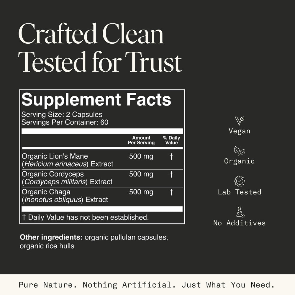 Fantastic Fungi capsules arranged for brain support and mental clarity.