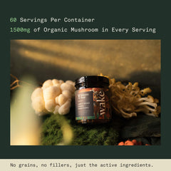 Fantastic Fungi lab scene emphasizes GMP-certified production quality.