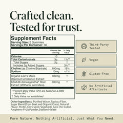 Fantastic Fungi Memory Gummies bottle with ingredients highlights for focus.