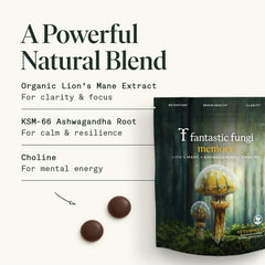 Fantastic Fungi Memory Gummies Lions Mane Ashwagandha Choline blend bottle for cognitive focus.