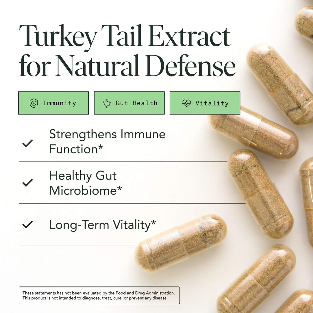 Fantastic Fungi Turkey Tail capsules close-up for convenient daily vegan use.