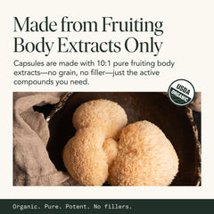 Fantastic Fungi two capsules ready for daily use with meals.