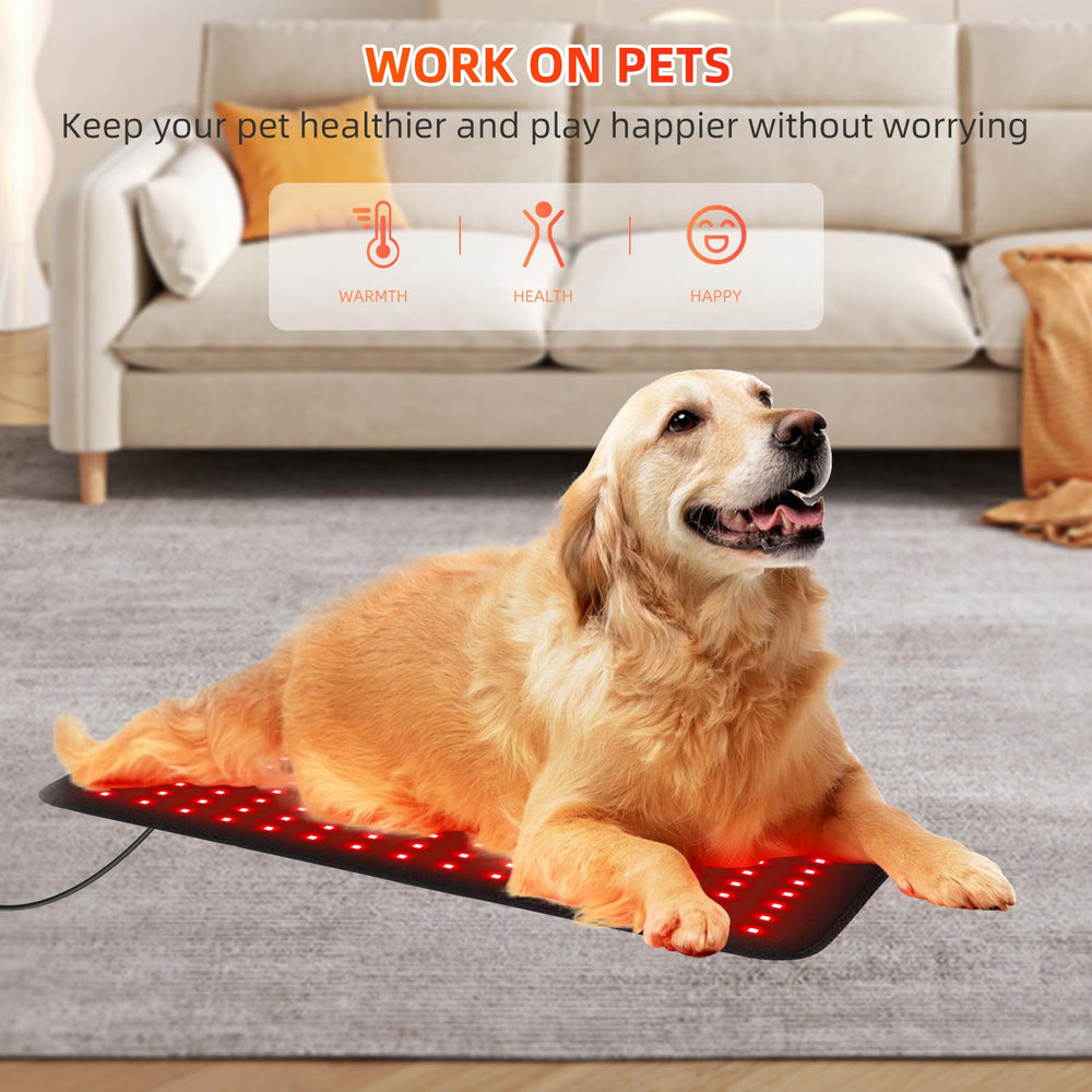 Feangli removable cover for easy cleaning and maintenance
