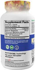 Feel Good Superfoods Berberine Phytosome packaging shows 120 vegan capsules for daily use
