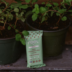 FEEL Organic Plant Protein Closeup emphasizes plant-based protein alongside wholesome ingredients