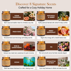 Feibao Sweet Grapefruit amber jar candle uplifting morning vibes