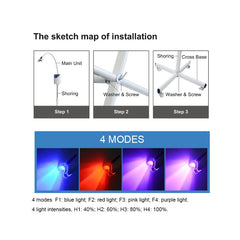 Fencia teeth whitening lamp red floor-stand with four modes for flexible sessions