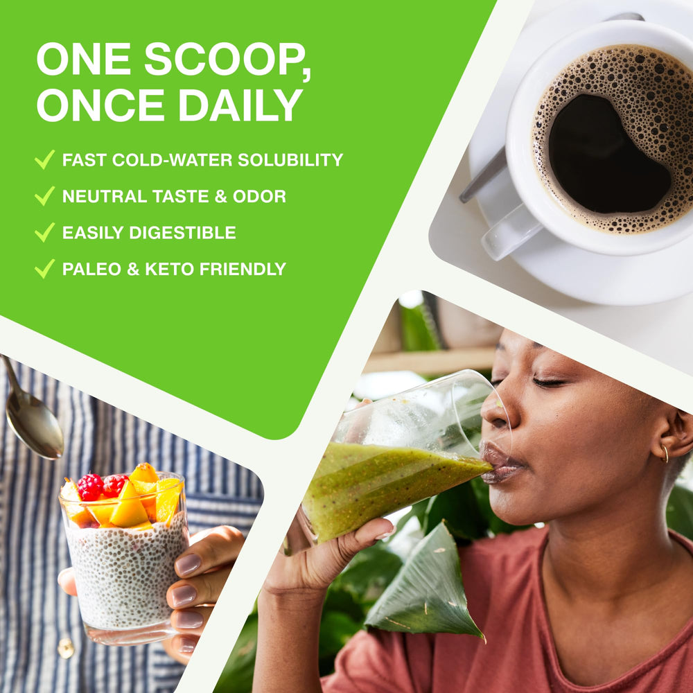 Fernes unflavored collagen powder in bowl shows versatile mixing into meals