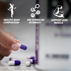 FINAFLEX PX NIGHT BURN ingredients: Acetyl L-Carnitine and CLA for fat transport