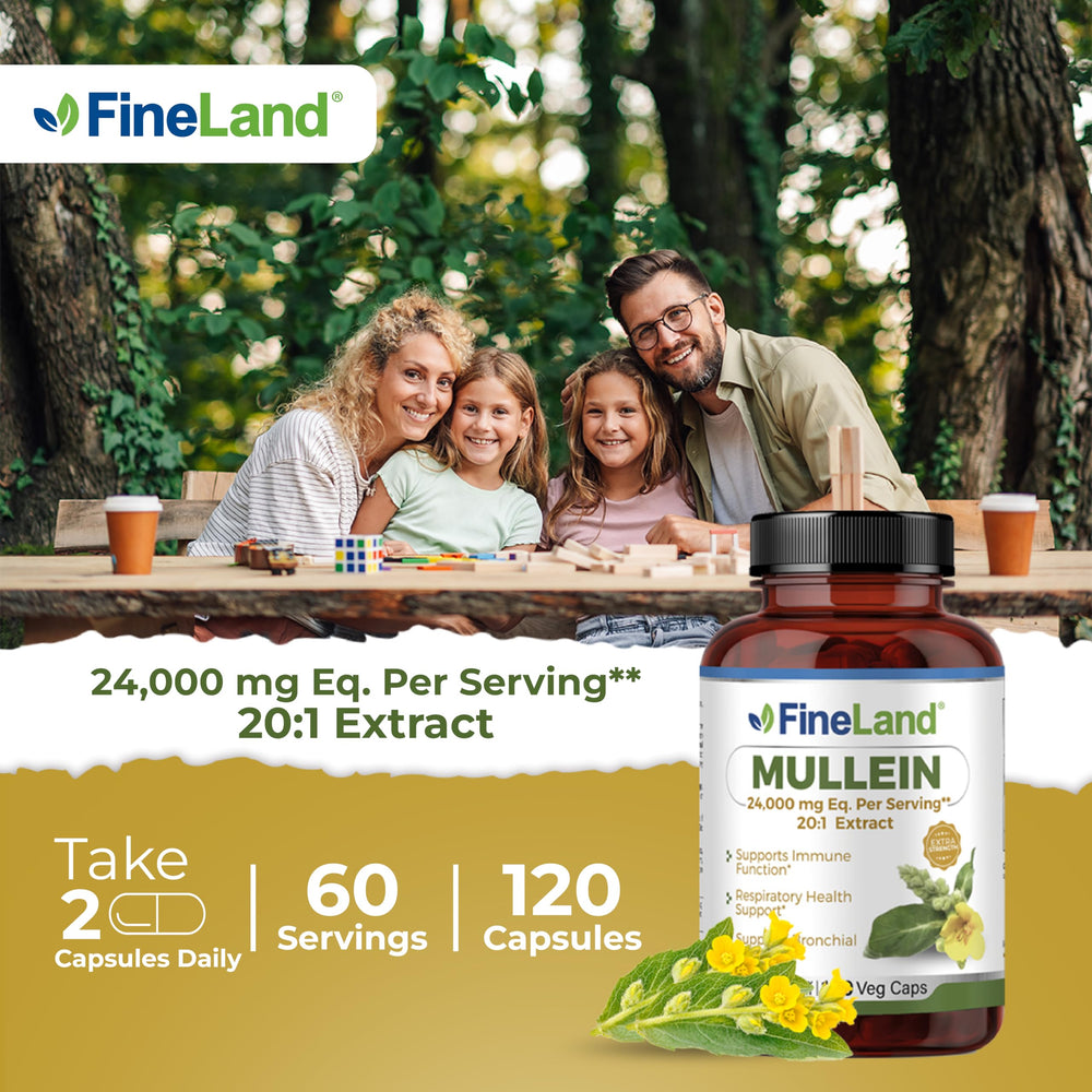 FineLand Mullein Leaf 20x Extract capsules show 24,000 mg strength