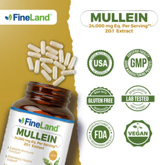 FineLand Mullein Leaf 20x Extract lifestyle use in daily routine